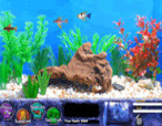 Managing-an-aquarium