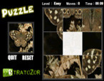 Puzzles-to-reconstitute