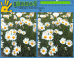5-differences