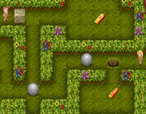 Jeu-adam-et-eve